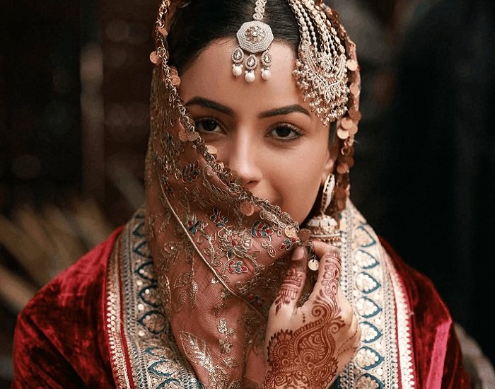 shehnaaz gill new movie